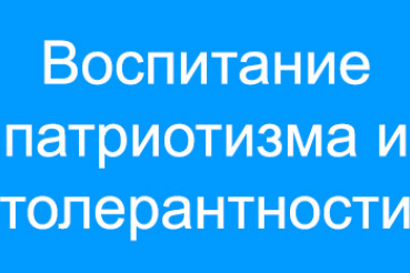 Проводимые мероприятия, направленные на воспитание патриотизма и толерантности среди воспитанников муниципальных учреждений