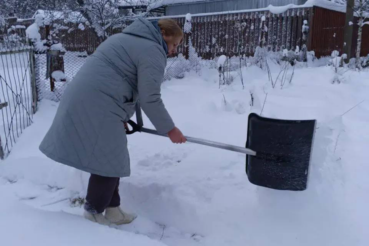 Организации соцобслуживания Ленобласти окажут помощь гражданам старшего поколения и лицам с инвалидностью